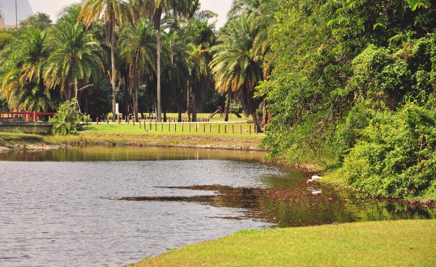 Parques no Rio de Janeiro - Bosque da Barra