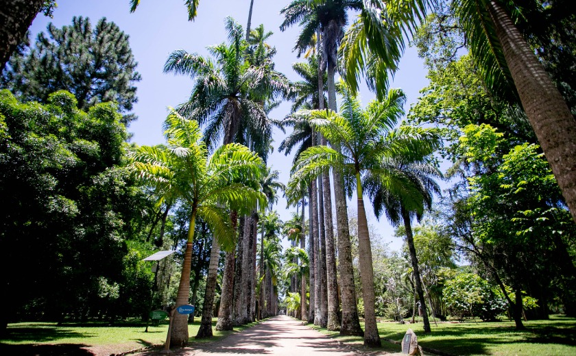 Jardim Botânico do Rio de Janeiro