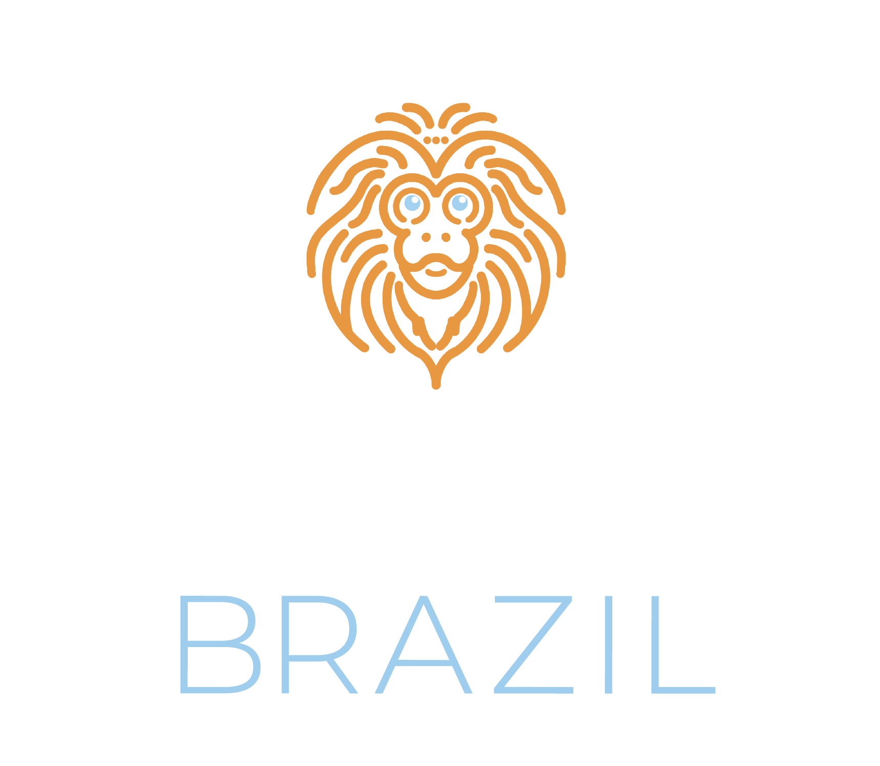 Journey Brazil
